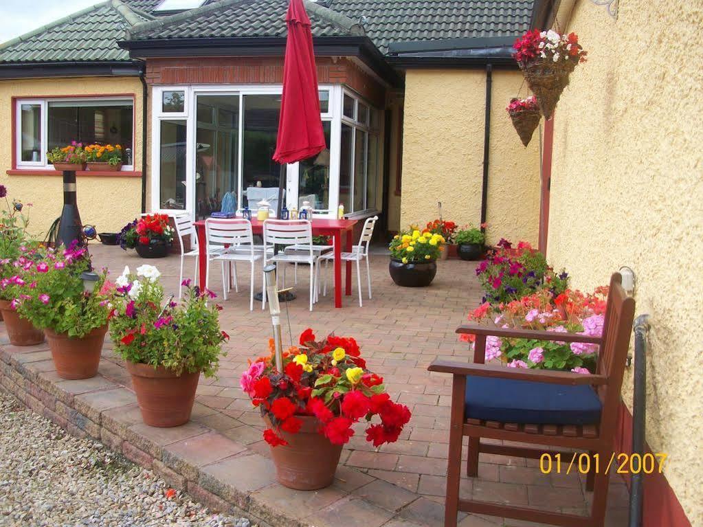 Krakow B&B Dundalk Exteriör bild